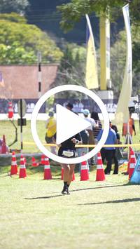 BIB:  <button type="button" onclick="openModal(26583598)" class="btn btn-primary btn-sm float-right" data-toggle="modal" data-target=".modal-high-quality">
                <i class="fa fa-download"></i> Download
                </button>